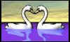 ordek.gif (9438 bytes)